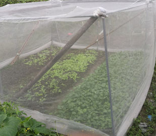 Red de protección vegetal del PE/eficacia de la producción de la máquina de la red de mosquito alta