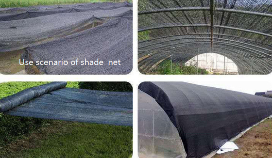 El futuro de la fabricación de la red de protección solar Tecnología de tejido de red de protección solar