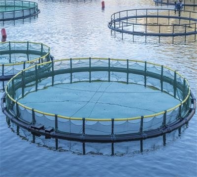 Máquina avanzada para hacer redes de pesca sin nudos para una producción rápida y precisa