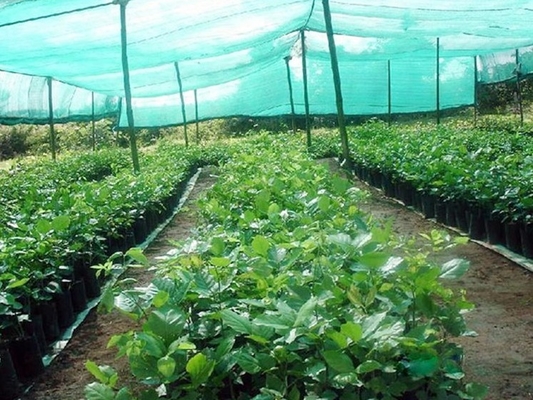 Máquina para hacer red de sombra solar con doble aguja DRCA Tipo de material virgen HDPE Sunshine