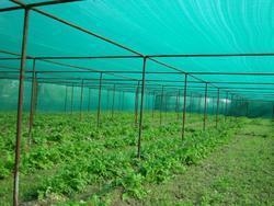Máquina de alta productividad de HDPE para proveedores de redes de sombra verde con diferentes características y engranajes abiertos