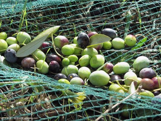 Máquina de tejido Raschel para redes agrícolas
