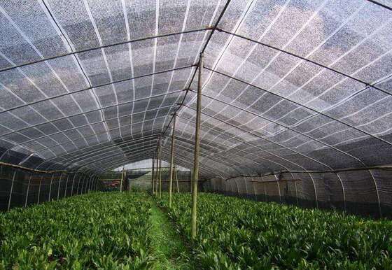 Modelos populares de máquinas de tejido de curvatura para redes agrícolas e industriales